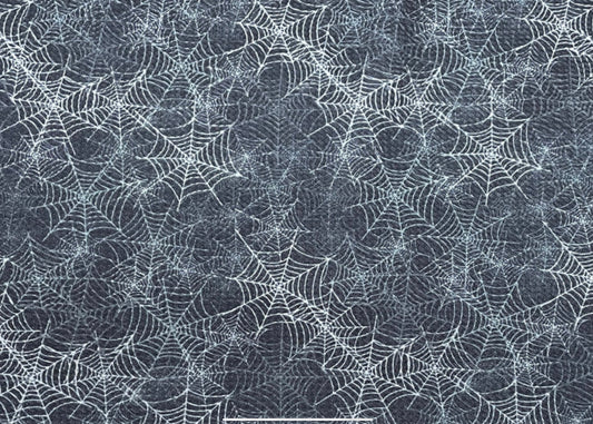 Spider Cobwebs #454